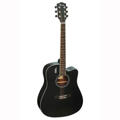 dan guitar aucoustic rosen g11