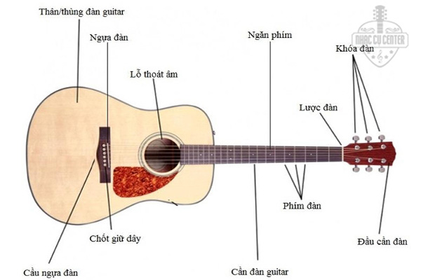 Cấu tạo guitar