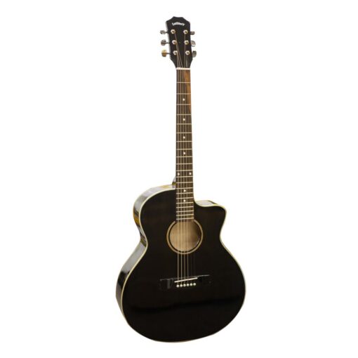 Đàn Guitar Acoustic LuthierV-LVT70