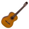Đàn Guitar Takamine GC1
