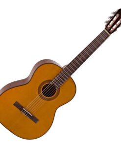 Đàn Guitar Takamine GC1