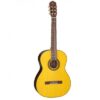 Đàn Guitar Takamine GC5 NAT