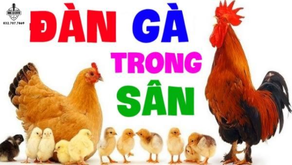 Cảm âm Đàn gà trong sân với giai điệu nhí nhảnh, vui tươi