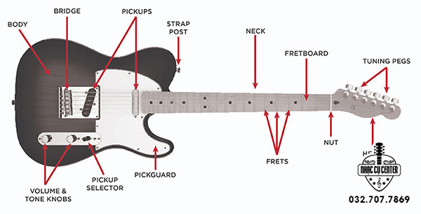 Bộ phận thân đàn Guitar điện