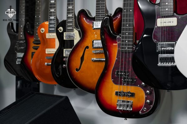 Các loại đàn Bass