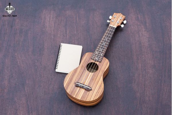 Cách đánh Ukulele bài “Hoa Cỏ Lau”