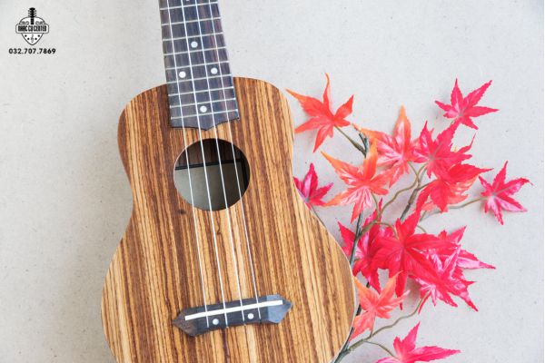 Đàn Ukulele có mấy loại thumbnail