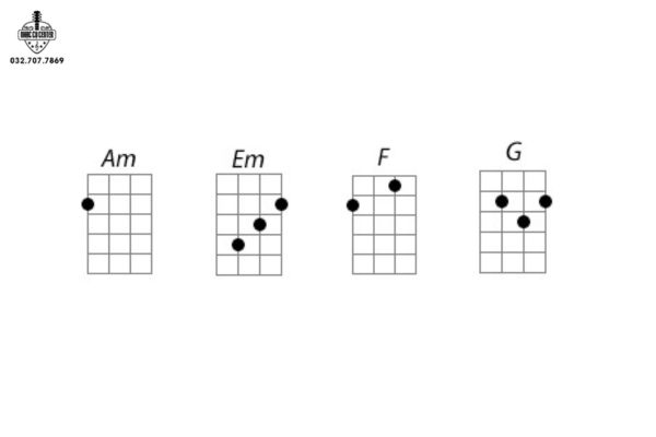Hợp âm & cấu trúc cơ bản cho “Hoa Cỏ Lau”