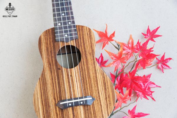 Những lưu ý khi cover & cách biến tấu với “Hoa Cỏ Lau”