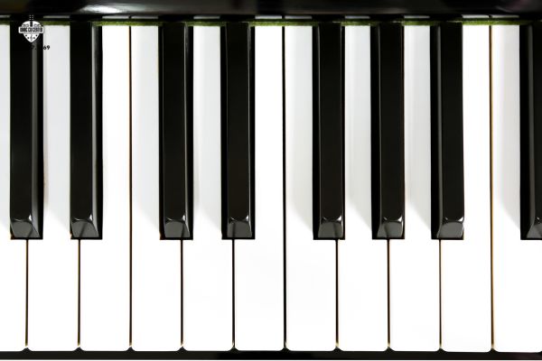 đàn piano điện dài bao nhiêu